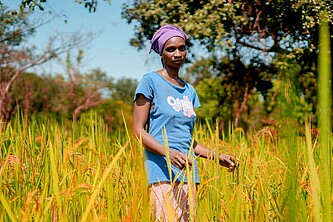 Eine Frau steht in einem Reisfeld