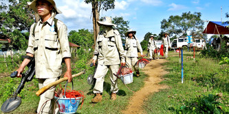 Eine Gruppe Entminerinnen und Entminer marschieren hintereinander mit Minensuchgeräten.