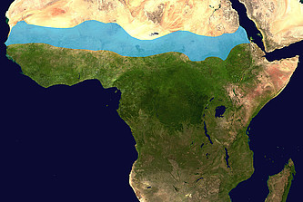Orthografische Karte des afrikanischen Kontinents mit Kennzeichnung der Sahel-Region