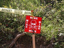 Ein Totenkopfemplem auf einem roten Schild warnt vor Minen in einem Feld
