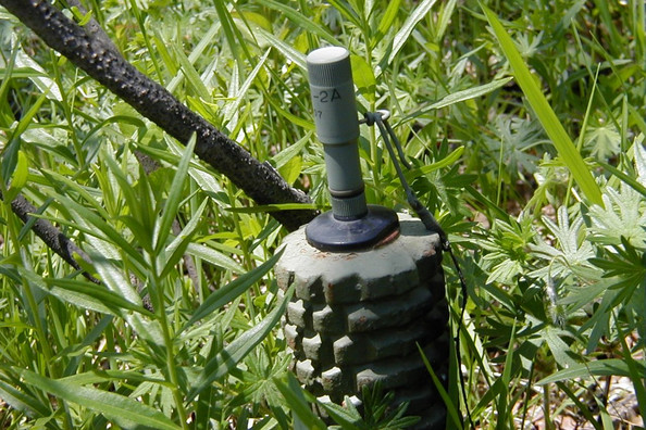 Ein Stab, um den herum fragmentierte Ringe angeordnet sind. Er steckt in einer Wiese.