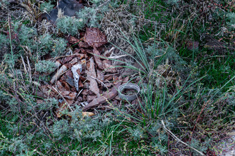 Überreste eines Sprengkörpers Ukraine Metallreste eines Sprengkörpers im Gras