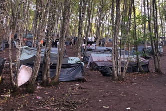 Einige Zelte in einem Wald.