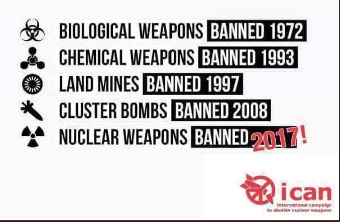 Bio Waffen: Verboten 1972, Chemische Waffen: Verboten: 1993, Landminen: Verboten 1997, Streubomben: Verboten: 2008, Nuklear Waffen: Verboten 2017